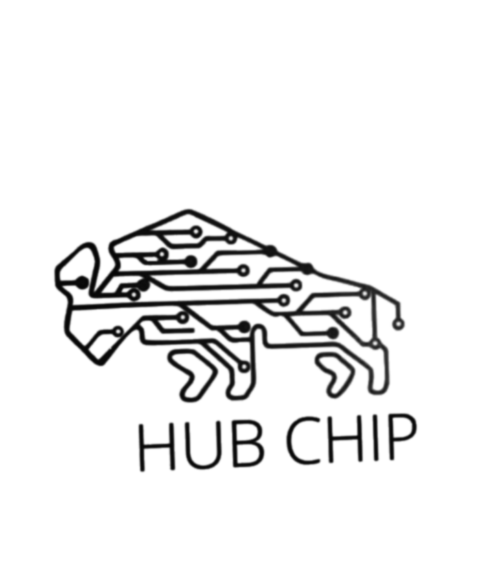 hubchip.co.zw